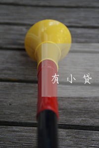 有小贷只还本金的没有