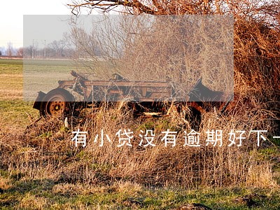 有小贷没有逾期好下卡吗 有小贷没有逾期好下卡吗
