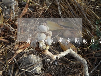有小贷没有逾期能房贷吗 有小贷没有逾期能房贷吗