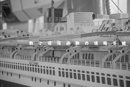 有小贷没逾期办信用卡被拒 有小贷没逾期办信用卡被拒
