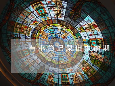 有小贷记录但未逾期 有小贷记录但未逾期