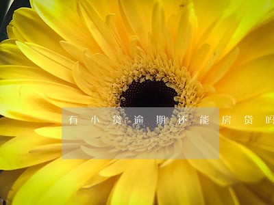 有小贷逾期还能房贷吗 有小贷逾期还能房贷吗
