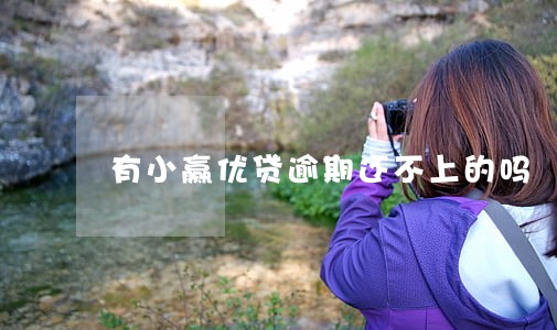 有小赢优贷逾期还不上的吗 有小赢优贷逾期还不上的吗