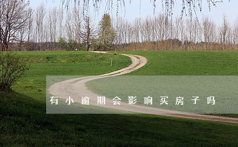 有小逾期会影响买房子吗 有小逾期会影响买房子吗