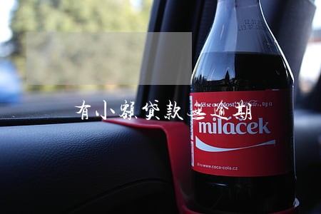 有小额贷款无逾期 有小额贷款无逾期