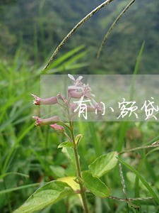 有小额贷款逾期影响房贷吗 有小额贷款逾期影响房贷吗