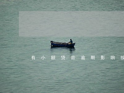 有小额贷款逾期影响按揭房 有小额贷款逾期影响按揭房