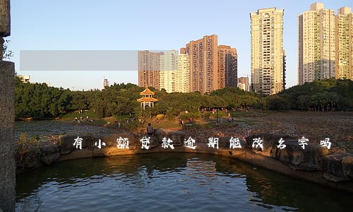 有小额贷款逾期能改名字吗