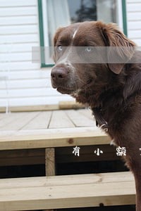 有小额贷没有过逾期影响购房吗 有小额贷没有过逾期影响购房吗