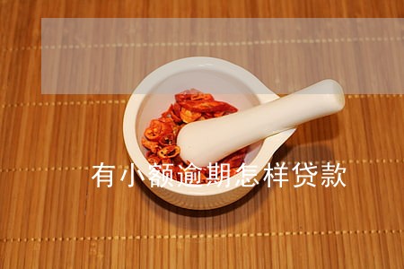 有小额逾期怎样贷款 有小额逾期怎样贷款