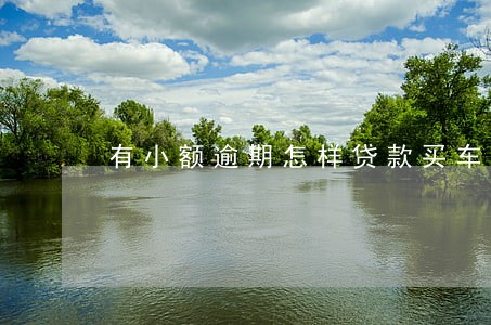 有小额逾期怎样贷款买车 有小额逾期怎样贷款买车