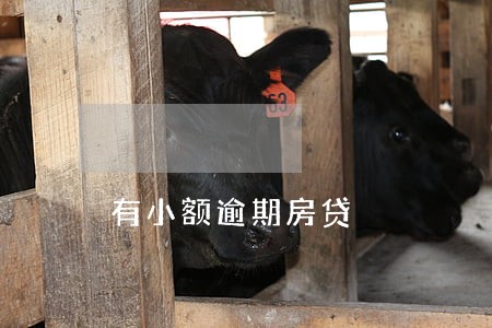 有小额逾期房贷 有小额逾期房贷