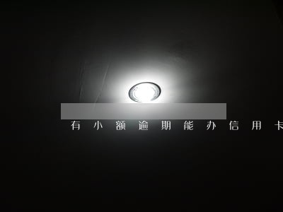 有小额逾期能办信用卡吗 有小额逾期能办信用卡吗