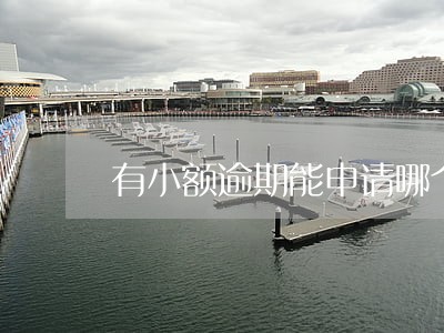 有小额逾期能申请哪个网贷 有小额逾期能申请哪个网贷