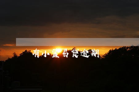 有小鲨易贷逾期 有小鲨易贷逾期