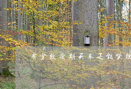 有少数逾期买车还能贷款吗 有少数逾期买车还能贷款吗