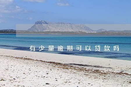 有少量逾期可以贷款吗 有少量逾期可以贷款吗