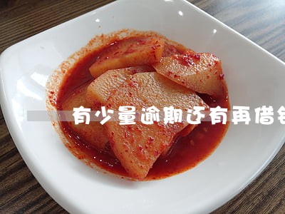 有少量逾期还有再借钱的app 有少量逾期还有再借钱的app
