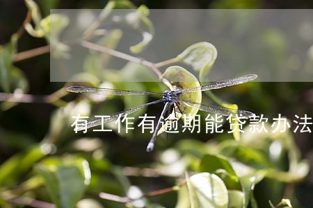 有工作有逾期能贷款办法 有工作有逾期能贷款办法