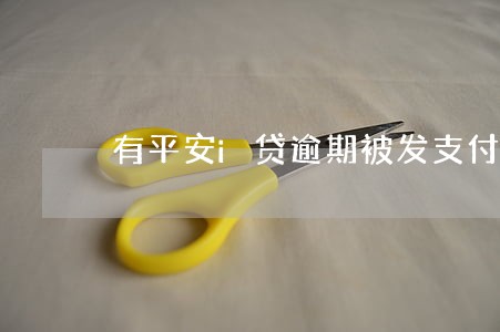 有平安i贷逾期被发支付令的吗 有平安i贷逾期被发支付令的吗
