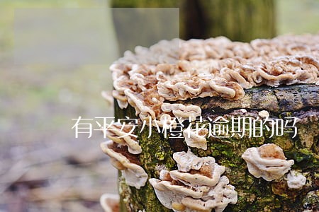 有平安小橙花逾期的吗 有平安小橙花逾期的吗