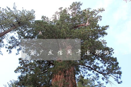 有广发信用卡逾期的吗上海 有广发信用卡逾期的吗上海