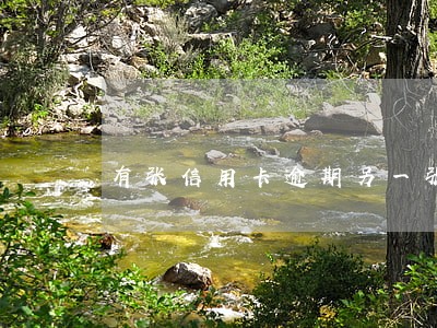 有张信用卡逾期另一张可以提额吗