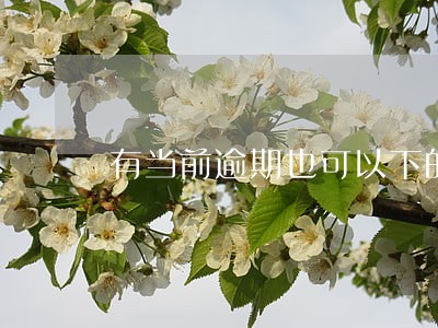 有当前逾期也可以下的信用卡 有当前逾期也可以下的信用卡