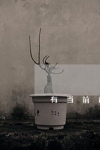 有当前逾期也能借的网贷 有当前逾期也能借的网贷