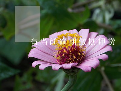 有当前逾期做抵押贷 有当前逾期做抵押贷