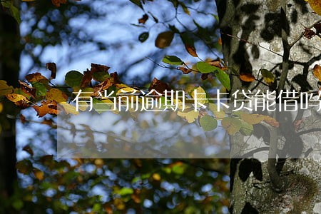 有当前逾期卡卡贷能借吗 有当前逾期卡卡贷能借吗