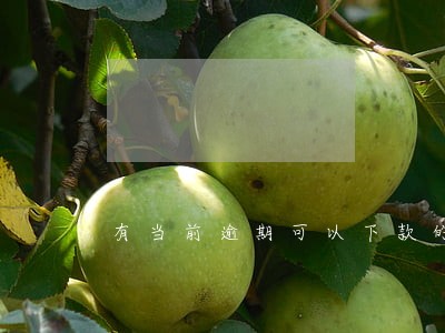 有当前逾期可以下款的口子 有当前逾期可以下款的口子