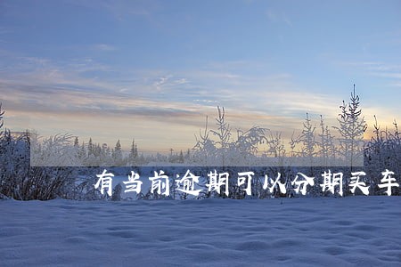 有当前逾期可以分期买车吗 有当前逾期可以分期买车吗