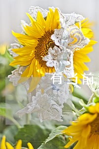 有当前逾期可以申请还呗吗 有当前逾期可以申请还呗吗