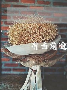 有当前逾期可以贷款的口子 有当前逾期可以贷款的口子