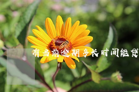 有当前逾期多长时间能贷款