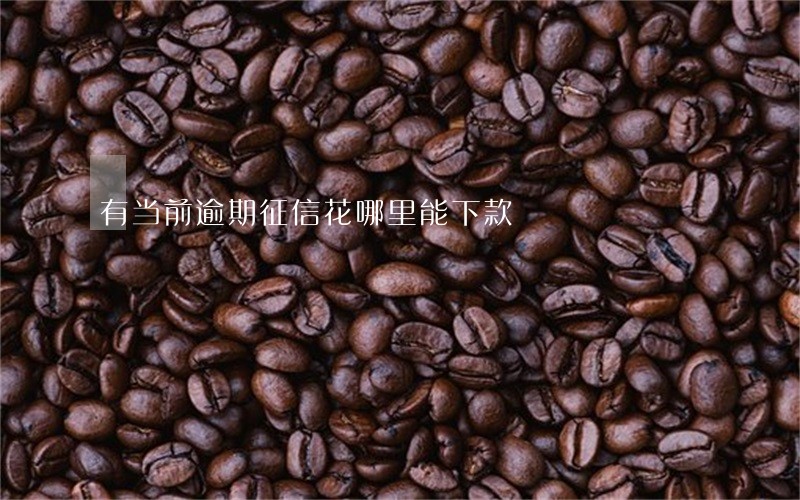有当前逾期征信花哪里能下款 有当前逾期征信花哪里能下款