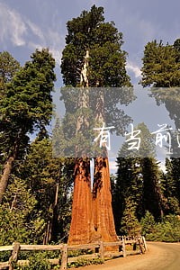 有当前逾期微粒贷可以取出来钱吗 有当前逾期微粒贷可以取出来钱吗