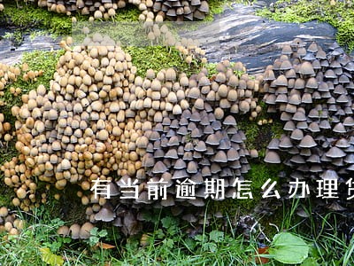 有当前逾期怎么办理贷款 有当前逾期怎么办理贷款