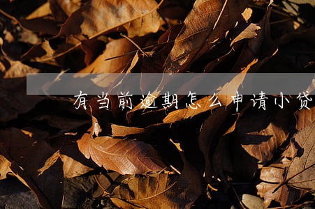 有当前逾期怎么申请小贷或网贷 有当前逾期怎么申请小贷或网贷