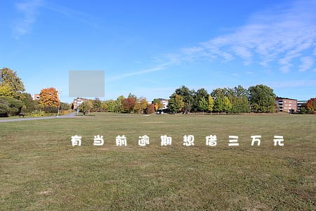 有当前逾期想借三万元 有当前逾期想借三万元