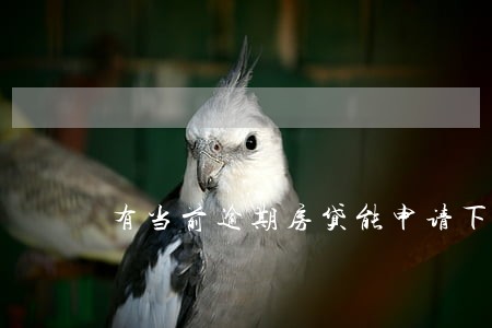 有当前逾期房贷能申请下来吗 有当前逾期房贷能申请下来吗