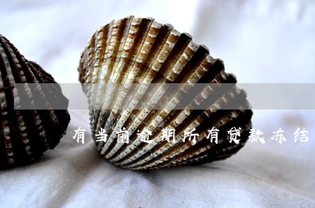 有当前逾期所有贷款冻结 有当前逾期所有贷款冻结