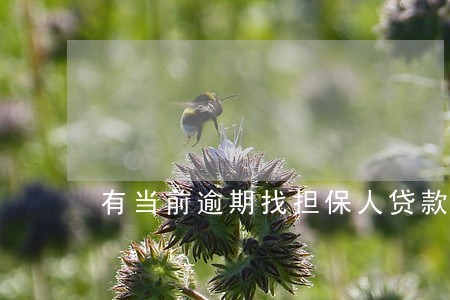 有当前逾期找担保人贷款 有当前逾期找担保人贷款
