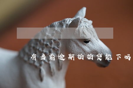有当前逾期拍拍贷能下吗