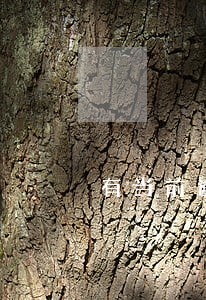 有当前逾期救命的口子2018 有当前逾期救命的口子2018