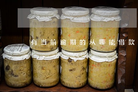 有当前逾期的从哪能借款 有当前逾期的从哪能借款