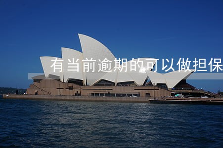 有当前逾期的可以做担保人吗 有当前逾期的可以做担保人吗
