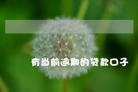 有当前逾期的贷款口子 有当前逾期的贷款口子