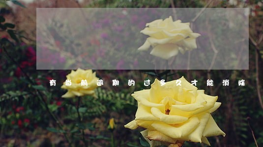 有当前逾期的过多久才能消除 有当前逾期的过多久才能消除